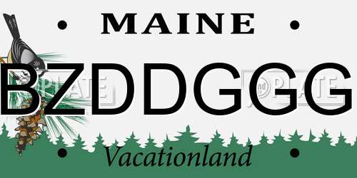 BZDDGGG Maine License Plate