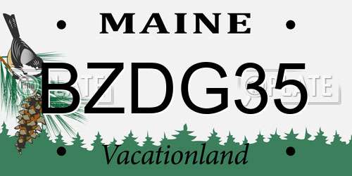 BZDG35 Maine License Plate