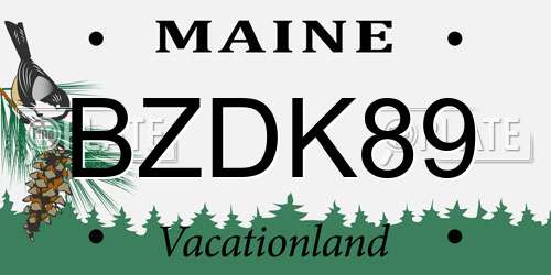 BZDK89 Maine License Plate