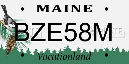 BZE58M Maine License Plate