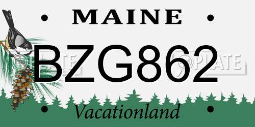 BZG862 Maine License Plate