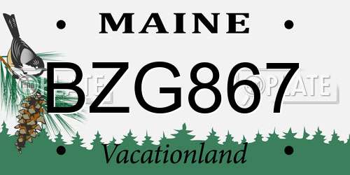 BZG867 Maine License Plate