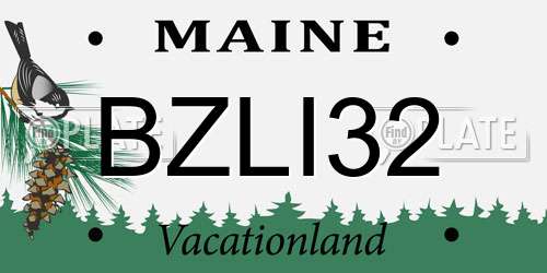 BZLI32 Maine License Plate