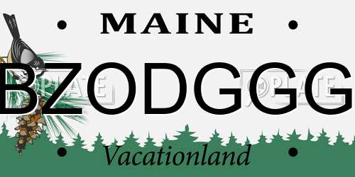 BZODGGG Maine License Plate