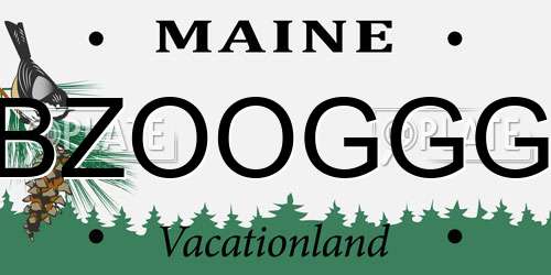 BZOOGGG Maine License Plate