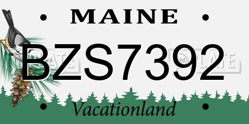 BZS7392 Maine License Plate