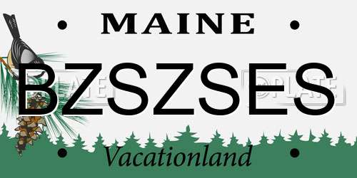 BZSZSES Maine License Plate