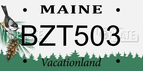 BZT503 Maine License Plate