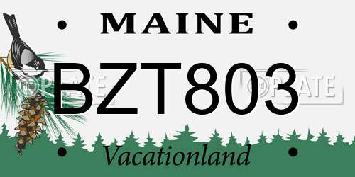 BZT803 Maine License Plate