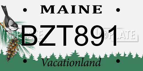 BZT891 Maine License Plate
