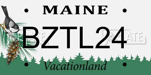 BZTL24 Maine License Plate