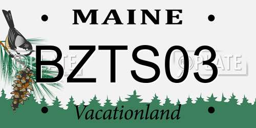 BZTS03 Maine License Plate