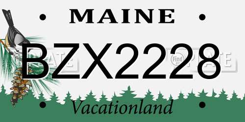 BZX2228 Maine License Plate