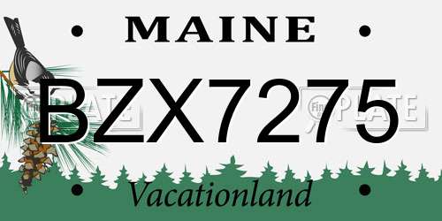 BZX7275 Maine License Plate