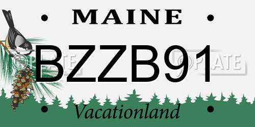 BZZB91 Maine License Plate