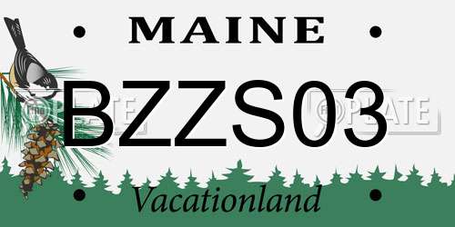 BZZS03 Maine License Plate