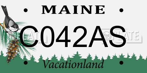 C042AS Maine License Plate
