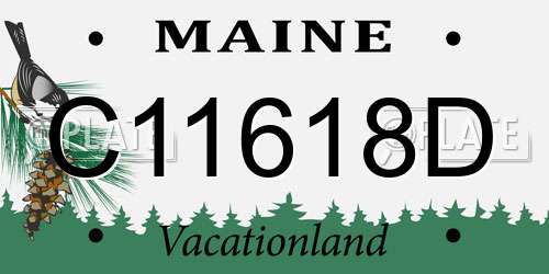 C11618D Maine License Plate