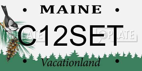 C12SET Maine License Plate
