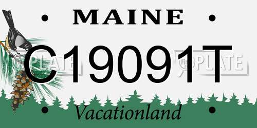 C19091T Maine License Plate
