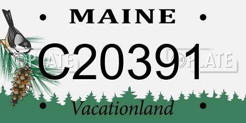 C20391 Maine License Plate