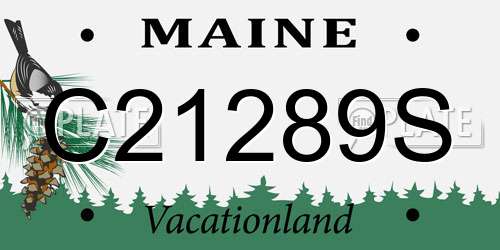 C21289S Maine License Plate
