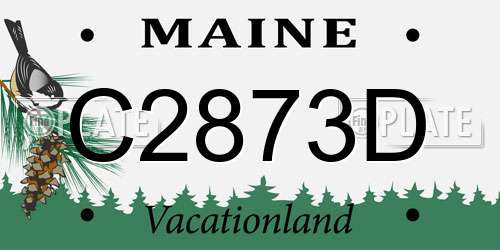 C2873D Maine License Plate