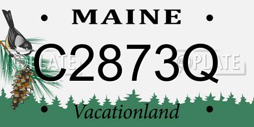 C2873Q Maine License Plate