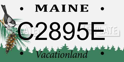 C2895E Maine License Plate