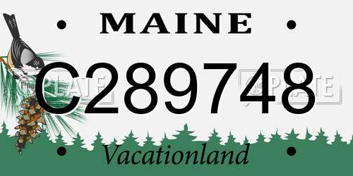 C289748 Maine License Plate