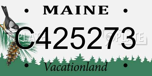 C425273 Maine License Plate