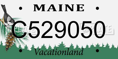 C529050 Maine License Plate