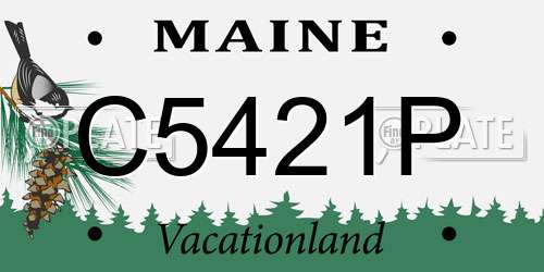 C5421P Maine License Plate