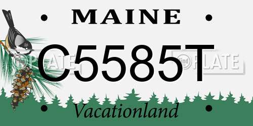 C5585T Maine License Plate