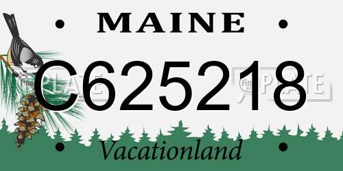 C625218 Maine License Plate