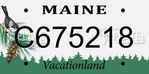 C675218 Maine License Plate