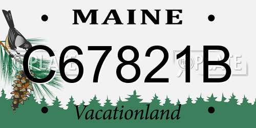 C67821B Maine License Plate