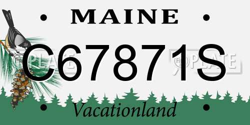 C67871S Maine License Plate