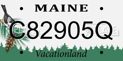 C82905Q Maine License Plate