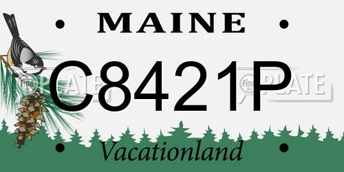 C8421P Maine License Plate