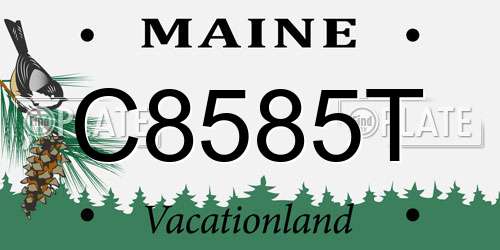 C8585T Maine License Plate