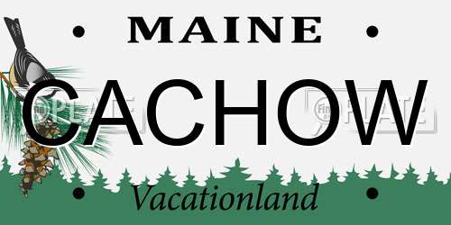 CACHOW Maine License Plate