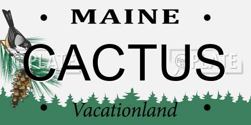CACTUS Maine License Plate