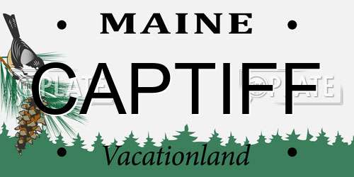 CAPTIFF Maine License Plate