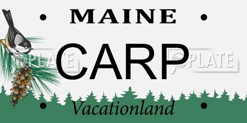 CARP Maine License Plate