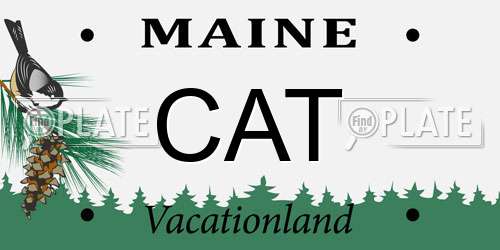 CAT Maine License Plate