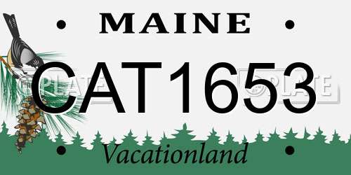 CAT1653 Maine License Plate
