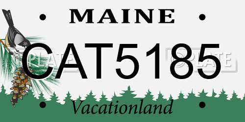 CAT5185 Maine License Plate