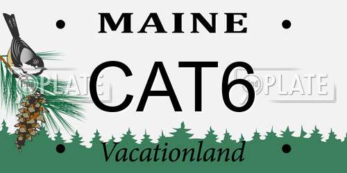 CAT6 Maine License Plate