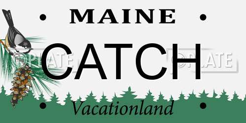 CATCH Maine License Plate